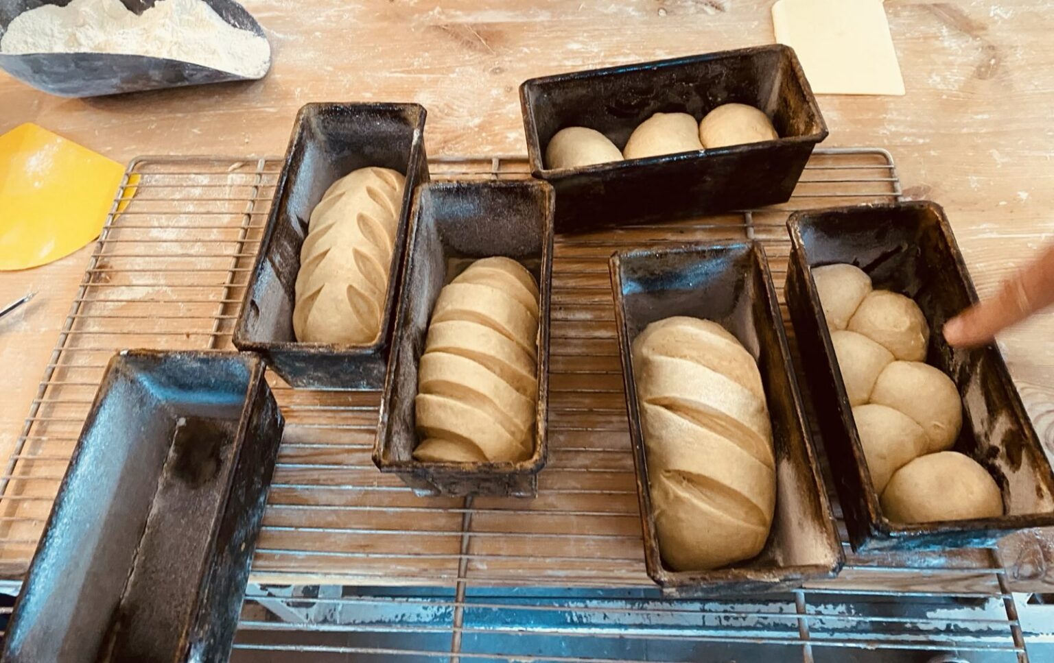 brioche_1-1536x967